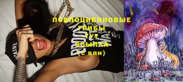 амф Алексеевка